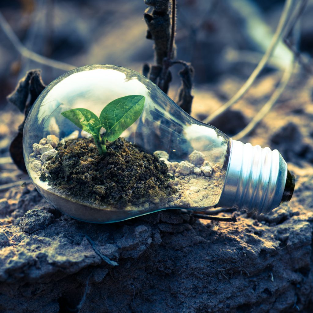 Energy Efficiency Tips for Canadian Homes