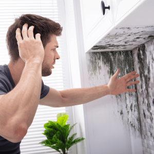 Insulation and mold growth