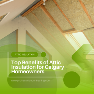 attic insulation for Calgary Homeowners