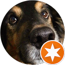Jovet De La Torre profile picture